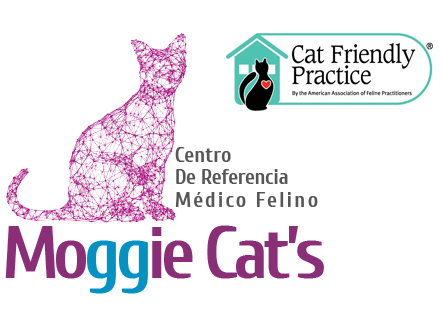 Moggie Cat's